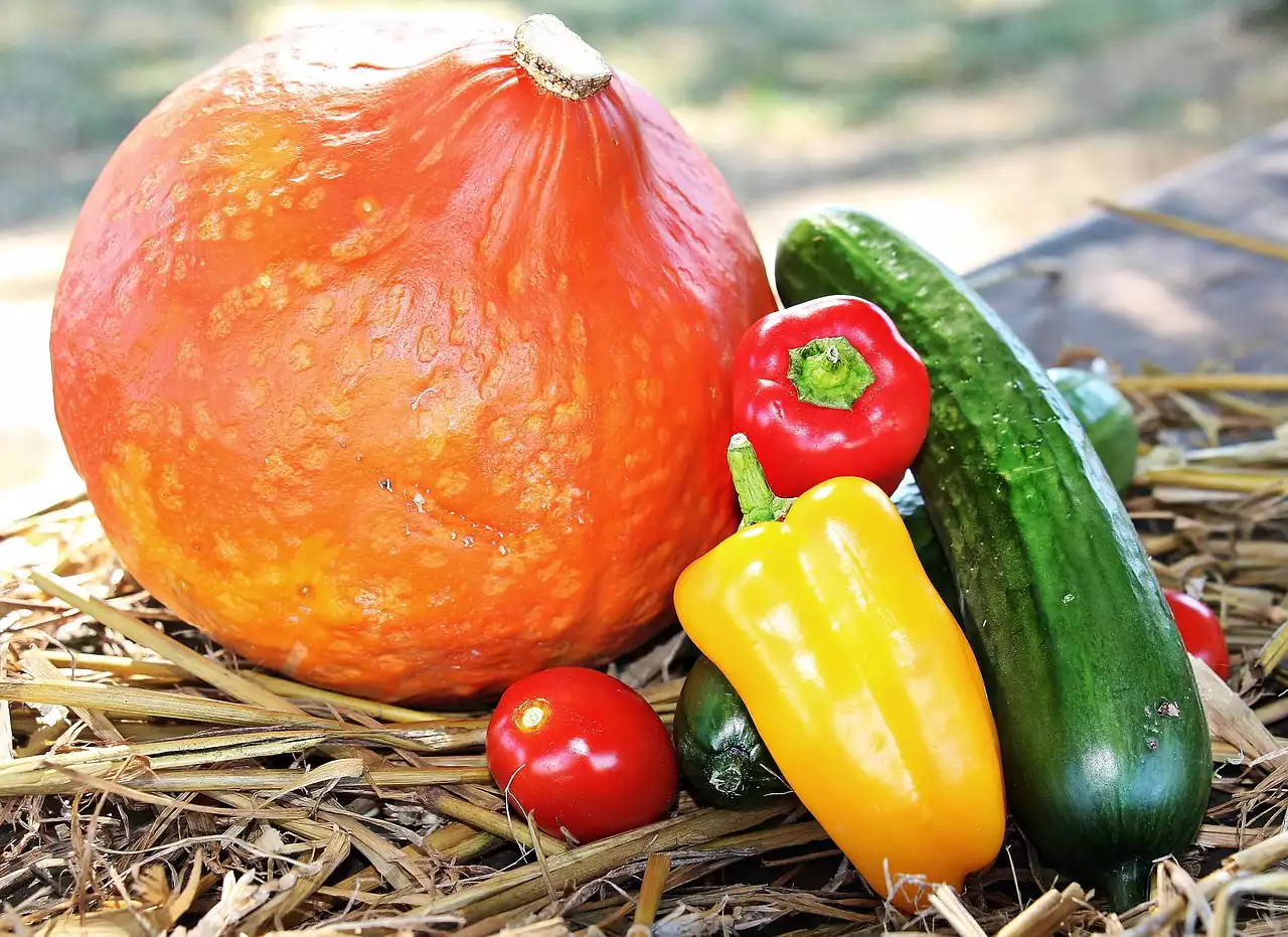 להפיק את המרב מהתוצרת העונתית: מדריך לירקות הסתיו